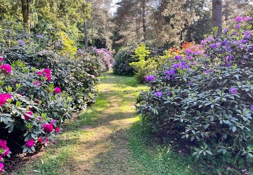 23-06-03 16-45-52 5797